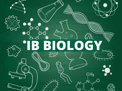 IB Biology (IB Sinh học) là gì? Tổng quan chương trình IB Biology
